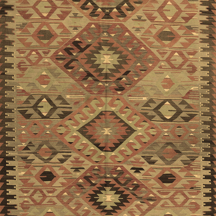 Machine Washable Persian Brown Traditional Rug, wshtr4188brn