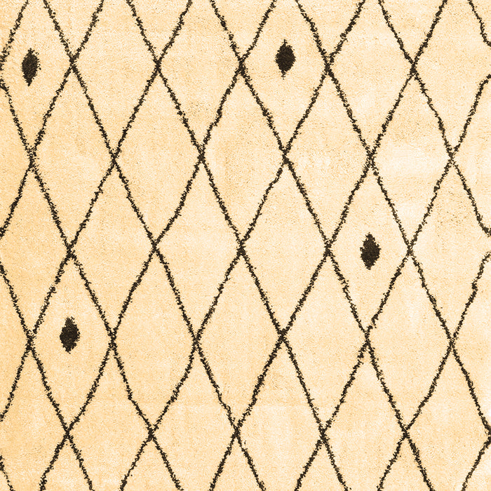 Persian Brown Traditional Rug, tr4190brn