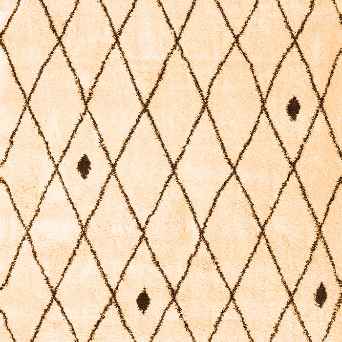 Persian Orange Traditional Rug, tr4190org