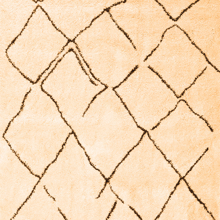 Serging Thickness of Machine Washable Persian Orange Traditional Area Rugs, wshtr4191org