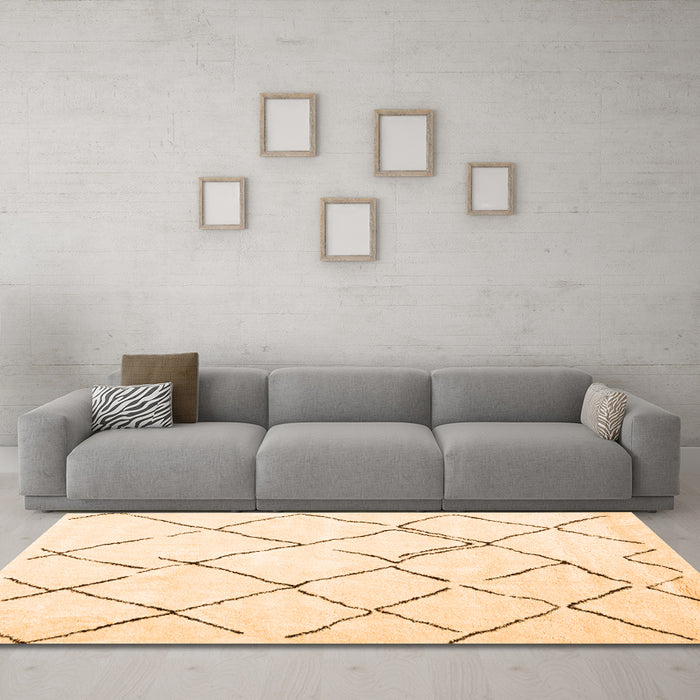 Machine Washable Persian Orange Traditional Area Rugs in a Living Room, wshtr4191org