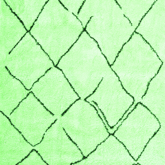 Persian Green Traditional Rug, tr4191grn