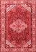 Medallion Red Traditional Area Rugs