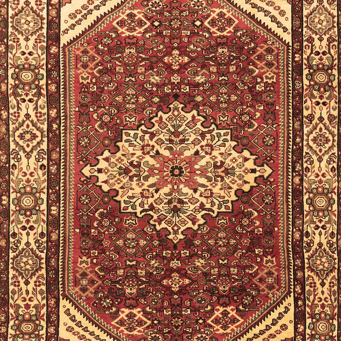 Machine Washable Medallion Brown Traditional Rug, wshtr4193brn