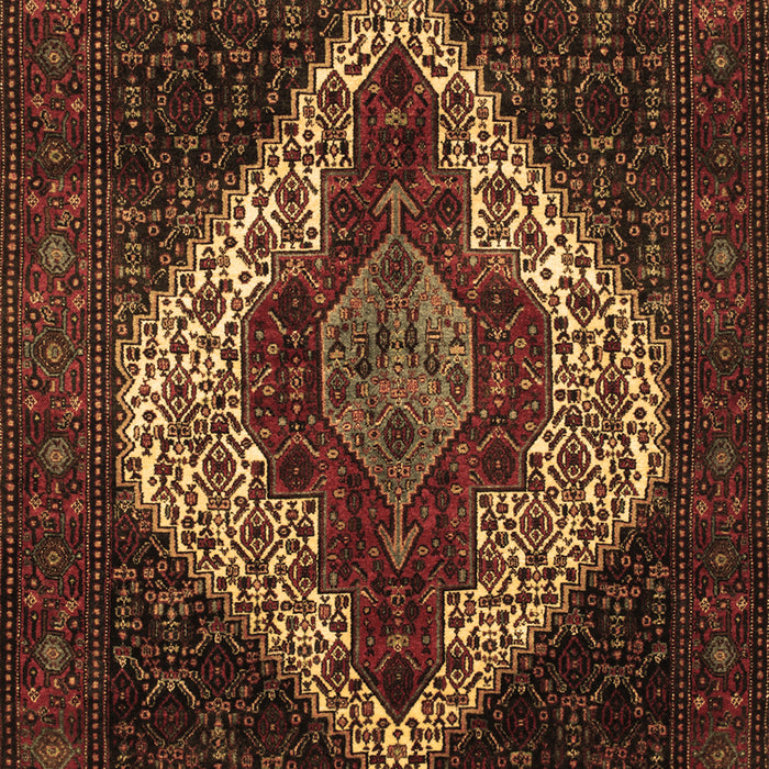 Machine Washable Persian Brown Traditional Rug, wshtr41brn