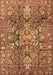 Machine Washable Persian Brown Traditional Rug, wshtr4200brn