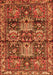 Persian Orange Traditional Rug, tr4203org