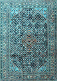 Medallion Light Blue Traditional Rug, tr4207lblu