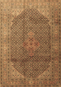 Medallion Brown Traditional Rug, tr4207brn