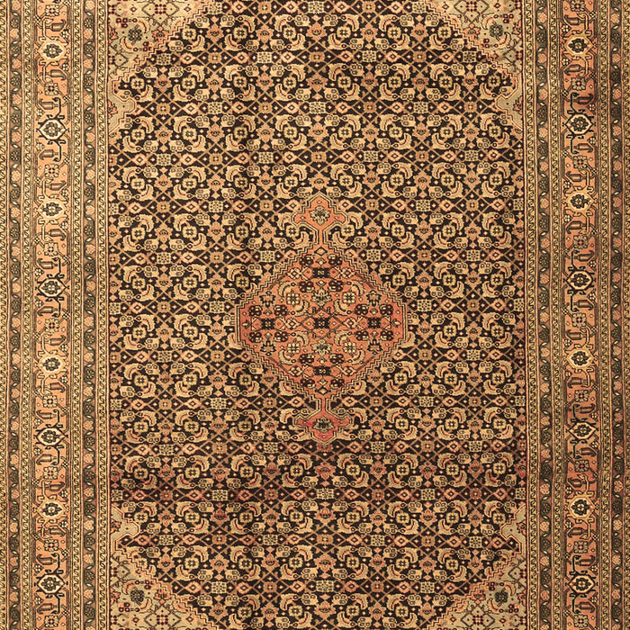 Medallion Brown Traditional Rug, tr4207brn