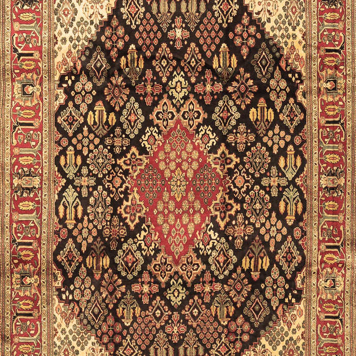 Medallion Brown Traditional Rug, tr4208brn