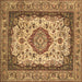 Square Machine Washable Medallion Brown Traditional Rug, wshtr420brn