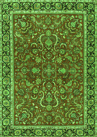 Persian Green Traditional Rug, tr4211grn