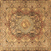 Square Persian Brown Traditional Rug, tr4215brn