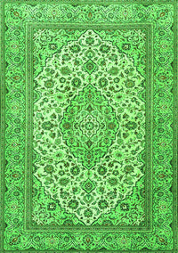 Medallion Green Traditional Rug, tr4218grn