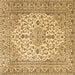 Square Machine Washable Medallion Brown Traditional Rug, wshtr4219brn