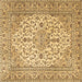 Square Medallion Brown Traditional Rug, tr4219brn