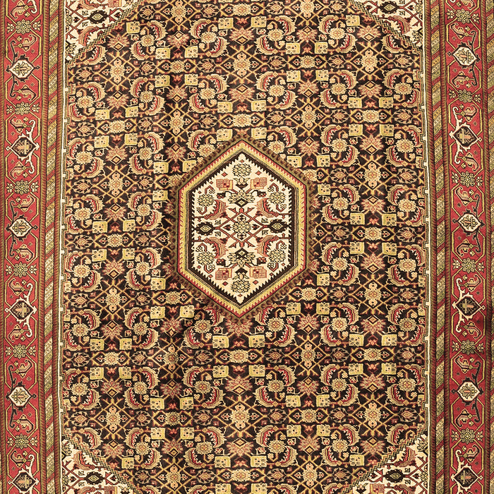Machine Washable Persian Brown Traditional Rug, wshtr421brn