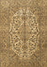 Medallion Brown Traditional Rug, tr4220brn