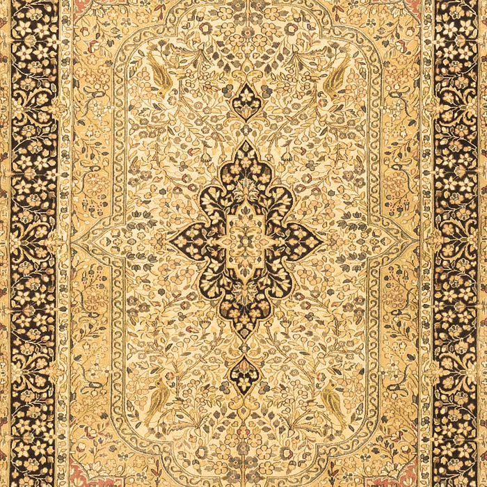 Machine Washable Medallion Brown Traditional Rug, wshtr4221brn