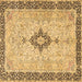 Square Medallion Brown Traditional Rug, tr4221brn