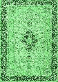 Medallion Emerald Green Traditional Rug, tr4221emgrn