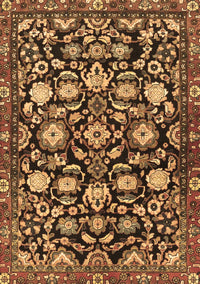 Persian Brown Traditional Rug, tr4224brn