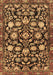 Machine Washable Persian Brown Traditional Rug, wshtr4224brn