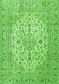 Persian Green Traditional Rug, tr4227grn