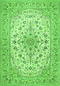 Medallion Green Traditional Rug, tr422grn