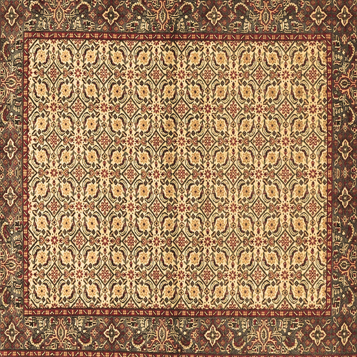 Square Persian Brown Traditional Rug, tr4231brn