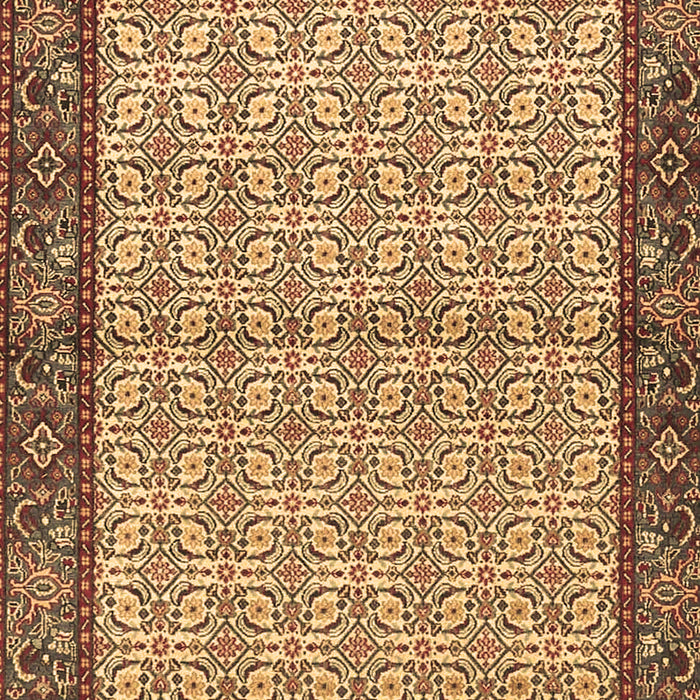 Machine Washable Persian Brown Traditional Rug, wshtr4231brn