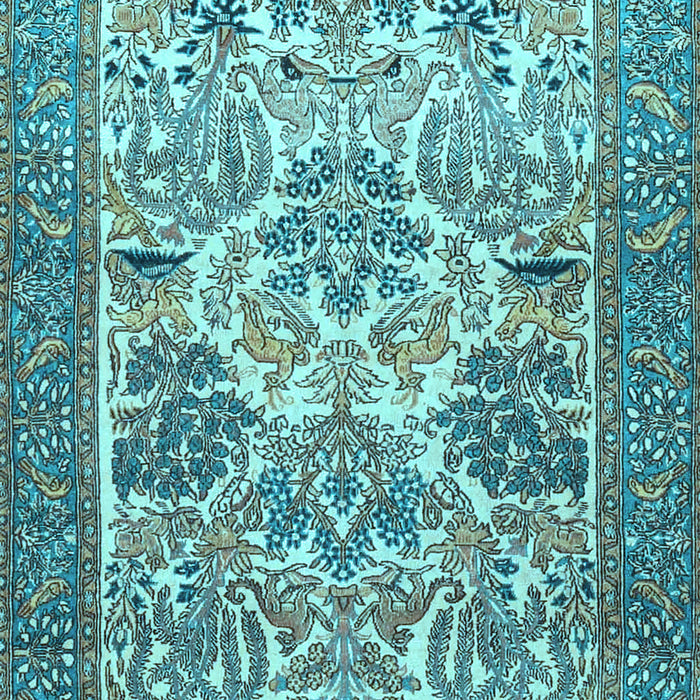 Machine Washable Animal Light Blue Traditional Rug, wshtr4232lblu