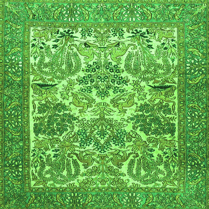 Serging Thickness of Animal Green Traditional Rug, tr4232grn