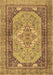 Persian Brown Traditional Rug, tr4233brn