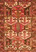Persian Orange Traditional Rug, tr4235org