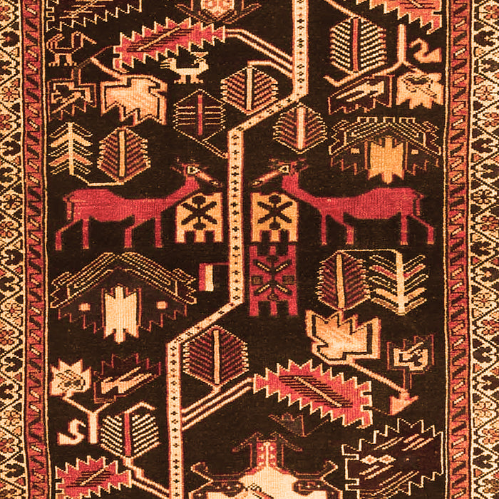 Serging Thickness of Machine Washable Animal Orange Traditional Area Rugs, wshtr4238org