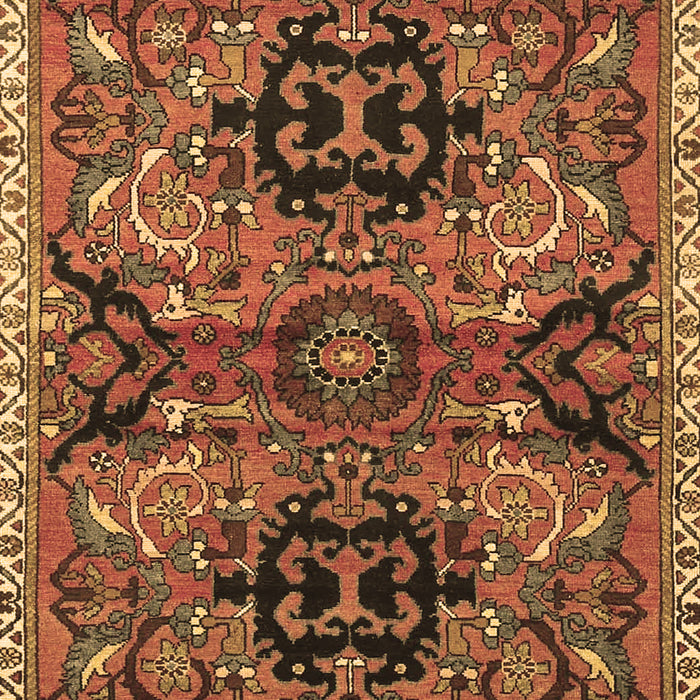 Machine Washable Persian Brown Traditional Rug, wshtr4239brn