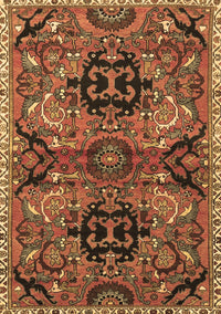 Persian Brown Traditional Rug, tr4239brn