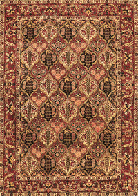 Persian Brown Traditional Rug, tr423brn