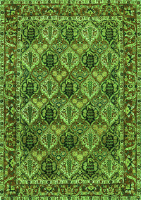 Persian Green Traditional Rug, tr423grn