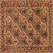 Square Machine Washable Persian Brown Traditional Rug, wshtr423brn