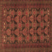 Square Machine Washable Persian Brown Traditional Rug, wshtr4240brn