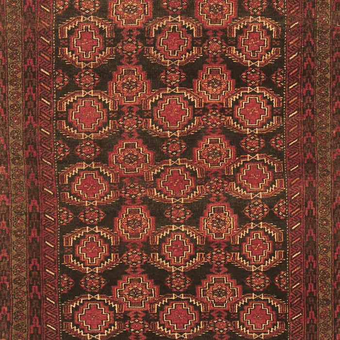 Machine Washable Persian Brown Traditional Rug, wshtr4240brn
