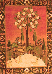 Animal Orange Traditional Rug, tr4243org