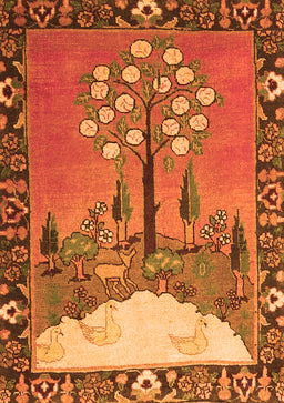 Animal Orange Traditional Rug, tr4243org