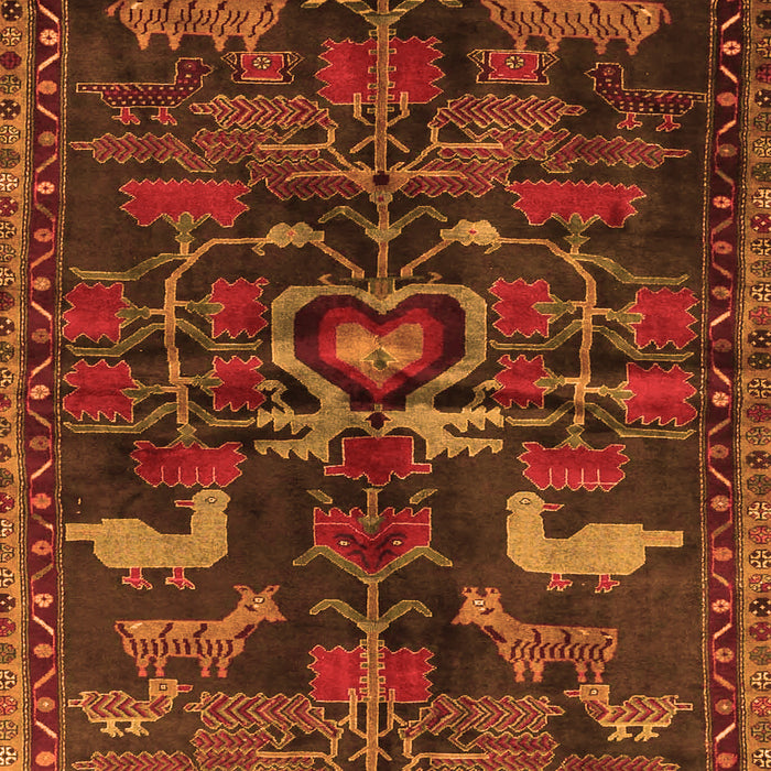 Animal Orange Traditional Rug, tr4244org