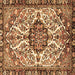 Square Persian Brown Traditional Rug, tr4245brn