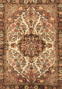 Persian Brown Traditional Rug, tr4245brn