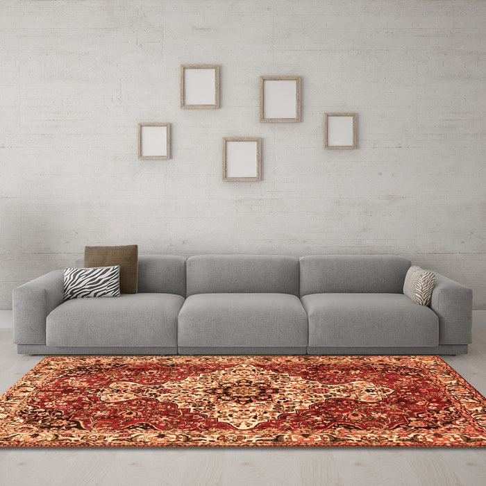 Machine Washable Persian Orange Traditional Area Rugs in a Living Room, wshtr4246org